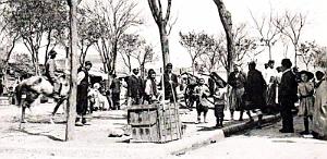 1729- Ain-Beida - Le Marche2 aux legumes